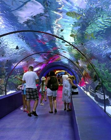 Antalya i Aquarium