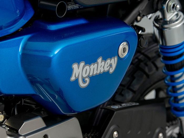 MONKEY-7